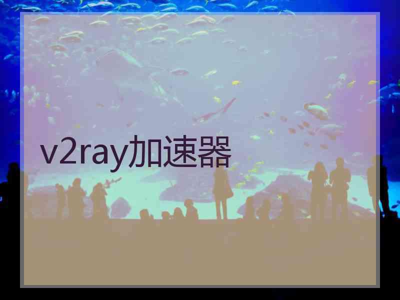v2ray加速器