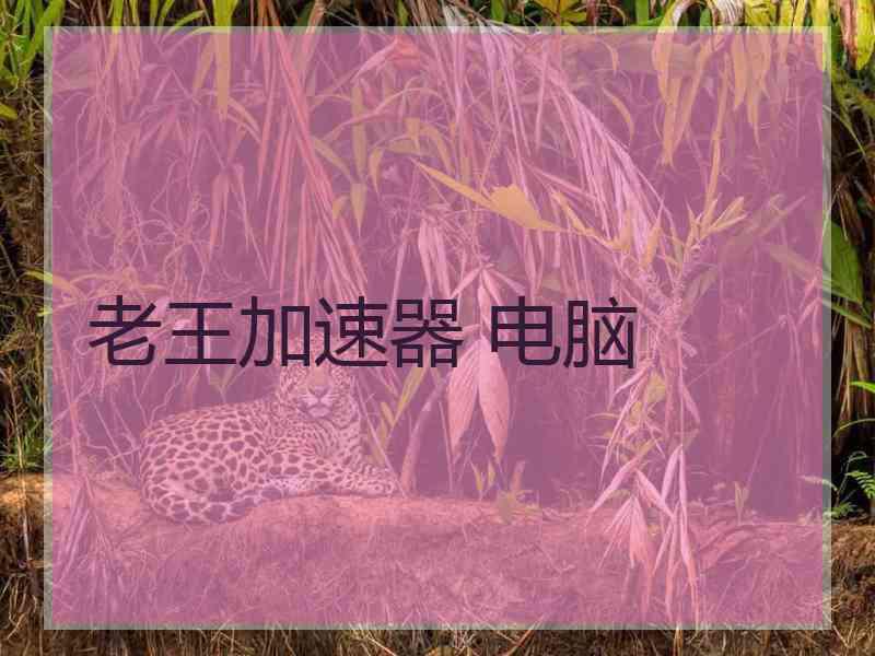 老王加速器 电脑