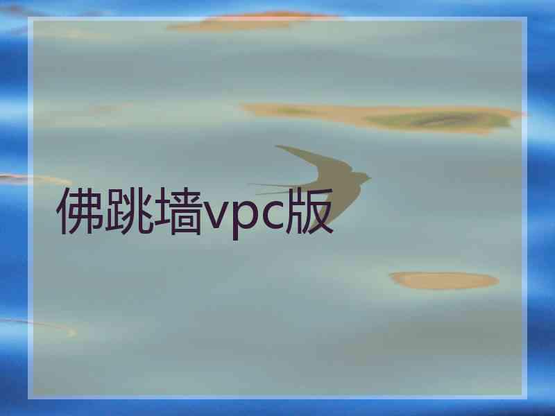 佛跳墙vpc版
