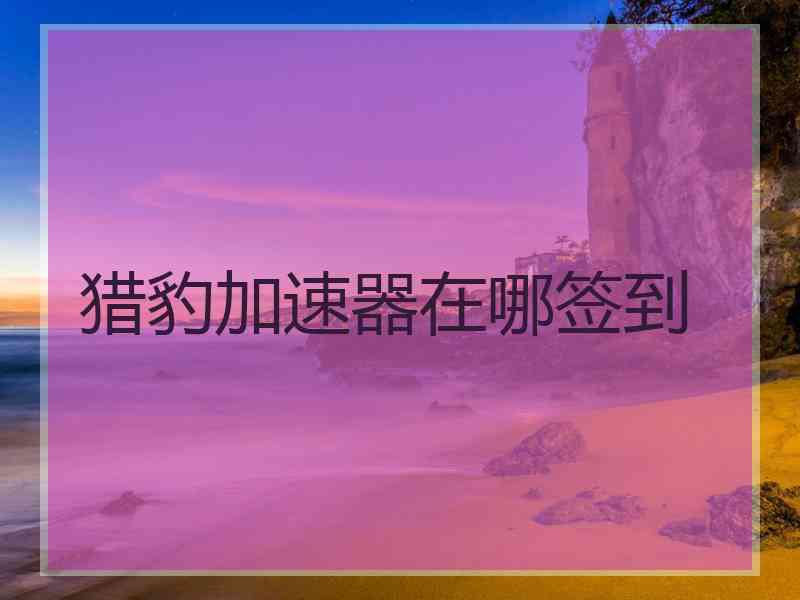 猎豹加速器在哪签到