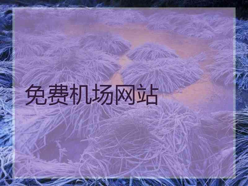 免费机场网站