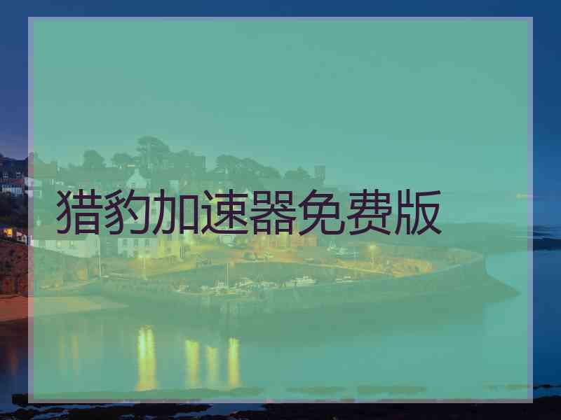 猎豹加速器免费版