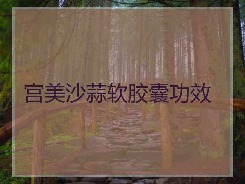 宫美沙蒜软胶囊功效