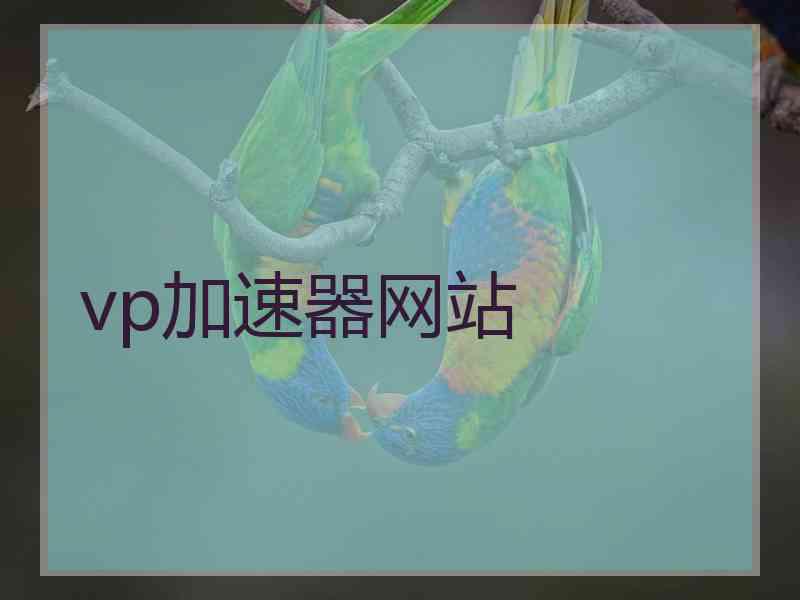 vp加速器网站