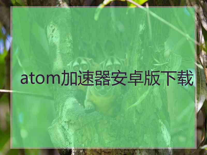 atom加速器安卓版下载