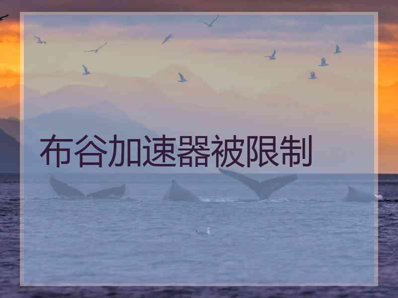 布谷加速器被限制