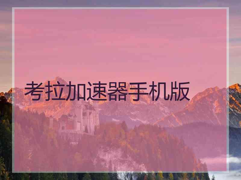 考拉加速器手机版