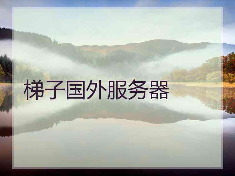 梯子国外服务器