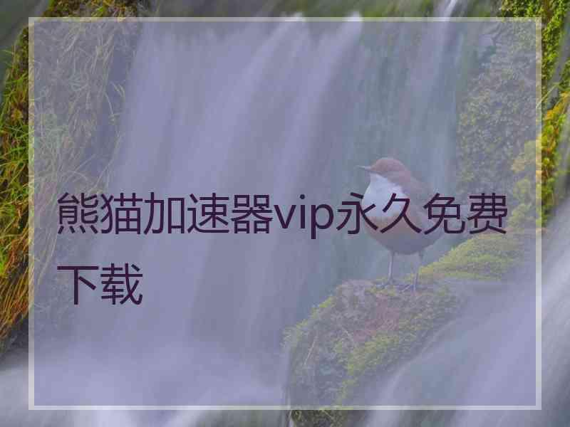 熊猫加速器vip永久免费下载