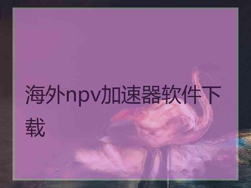 海外npv加速器软件下载