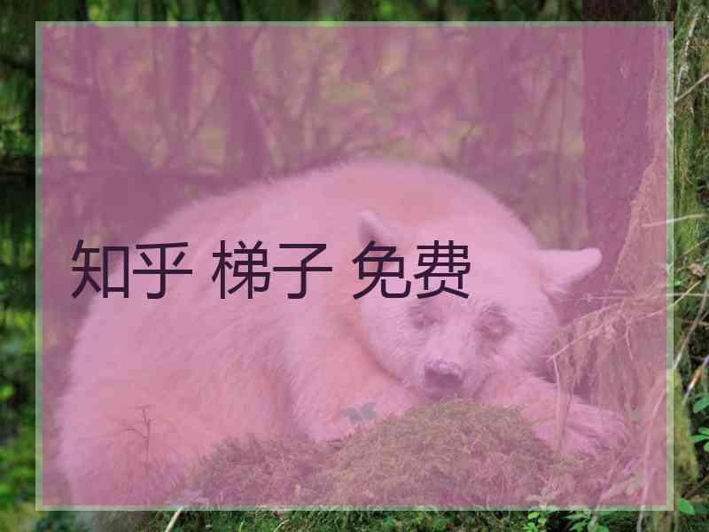 知乎 梯子 免费