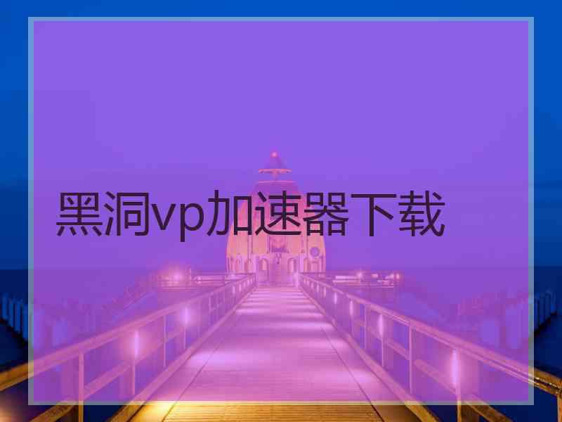 黑洞vp加速器下载