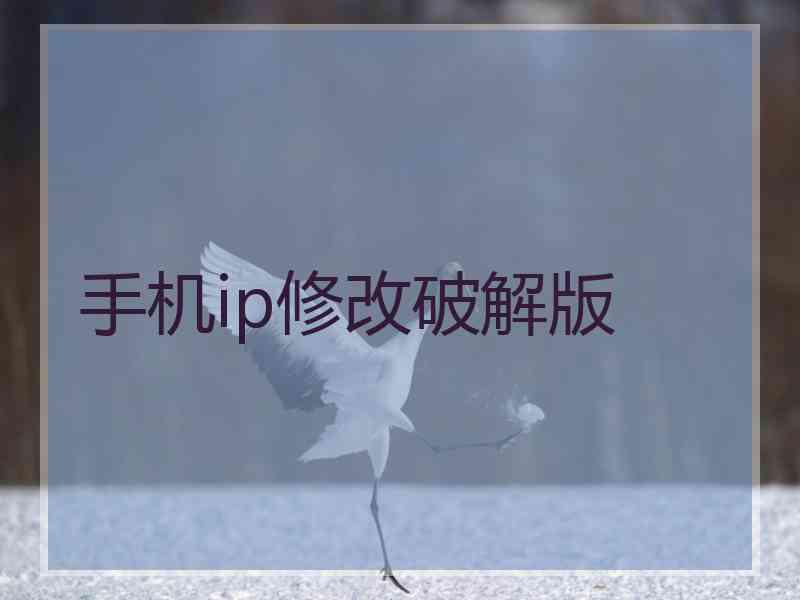 手机ip修改破解版