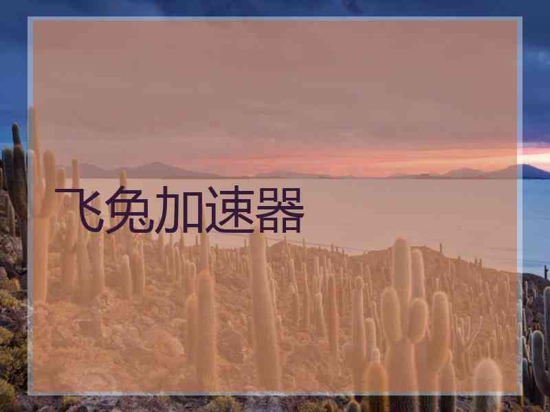 飞兔加速器