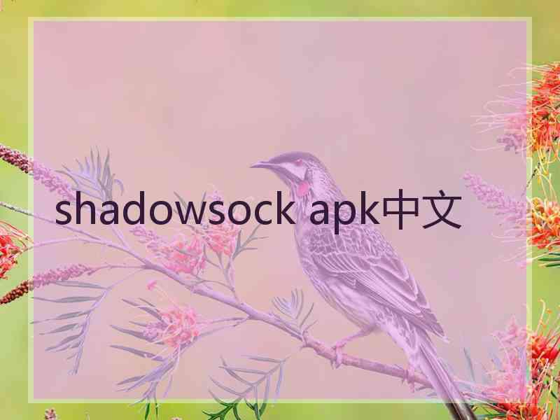 shadowsock apk中文