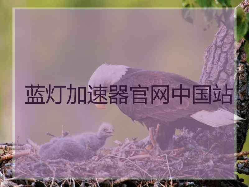 蓝灯加速器官网中国站