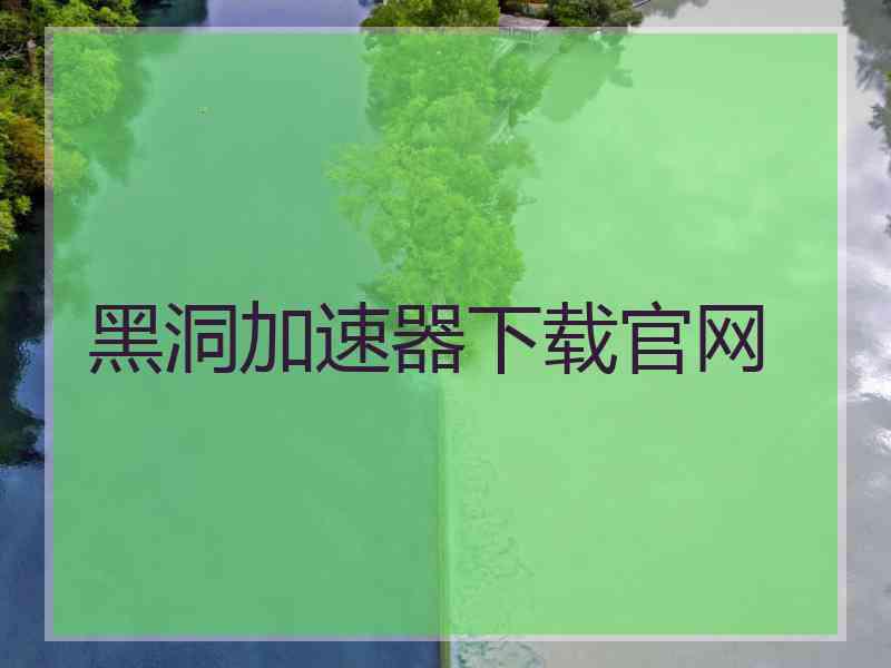 黑洞加速器下载官网