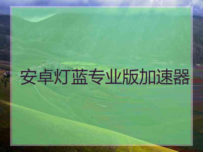 安卓灯蓝专业版加速器