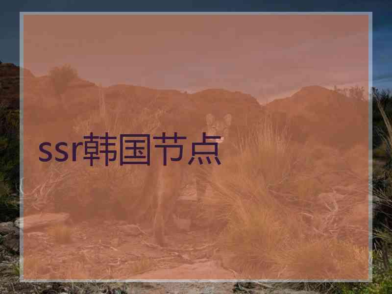 ssr韩国节点