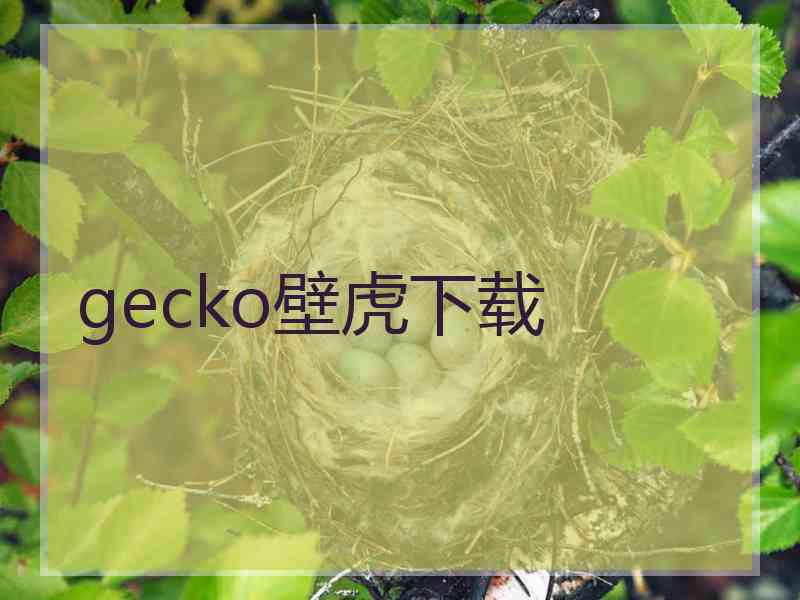 gecko壁虎下载