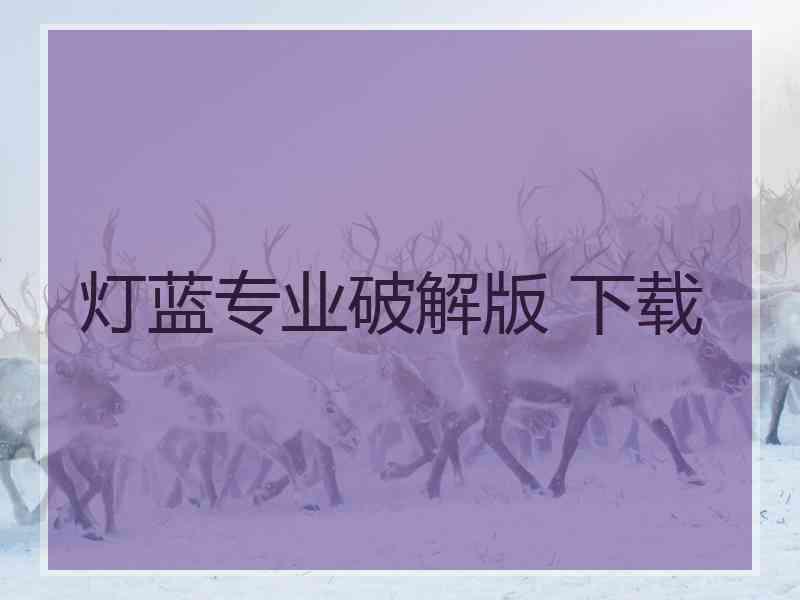 灯蓝专业破解版 下载