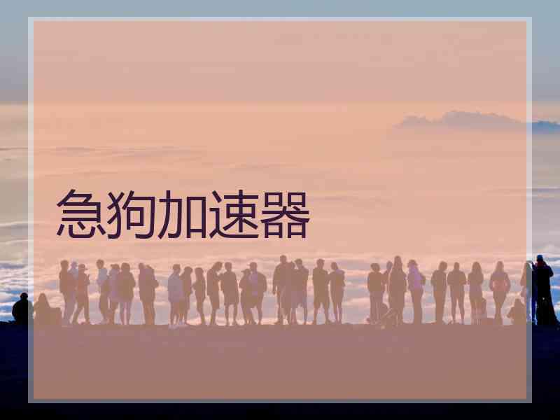 急狗加速器