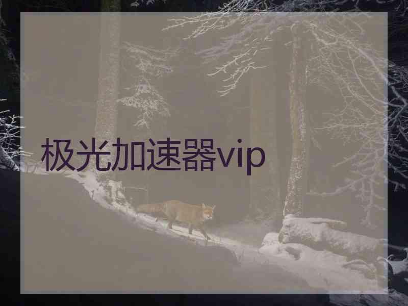 极光加速器vip