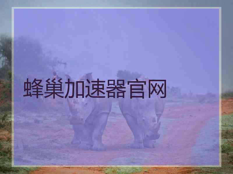 蜂巢加速器官网