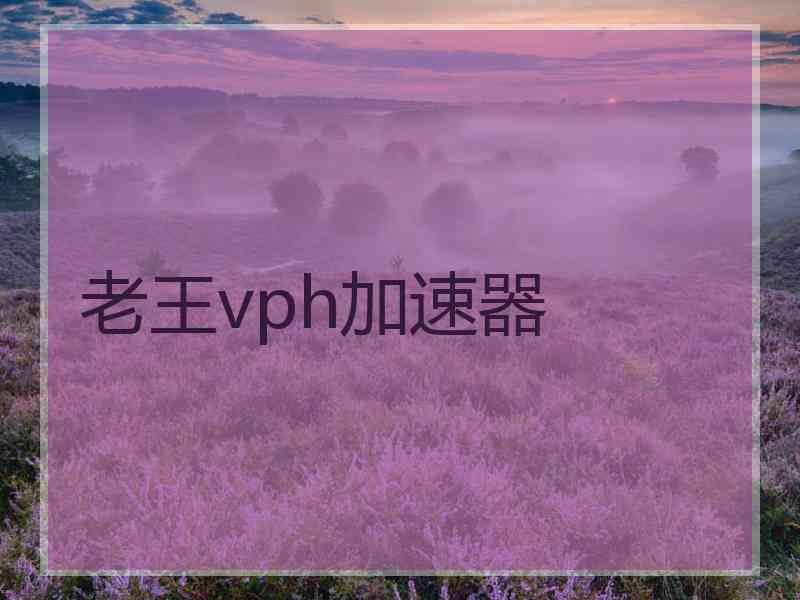 老王vph加速器