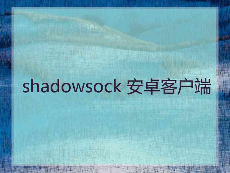 shadowsock 安卓客户端