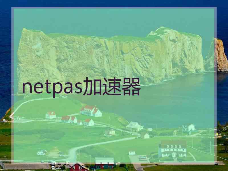 netpas加速器