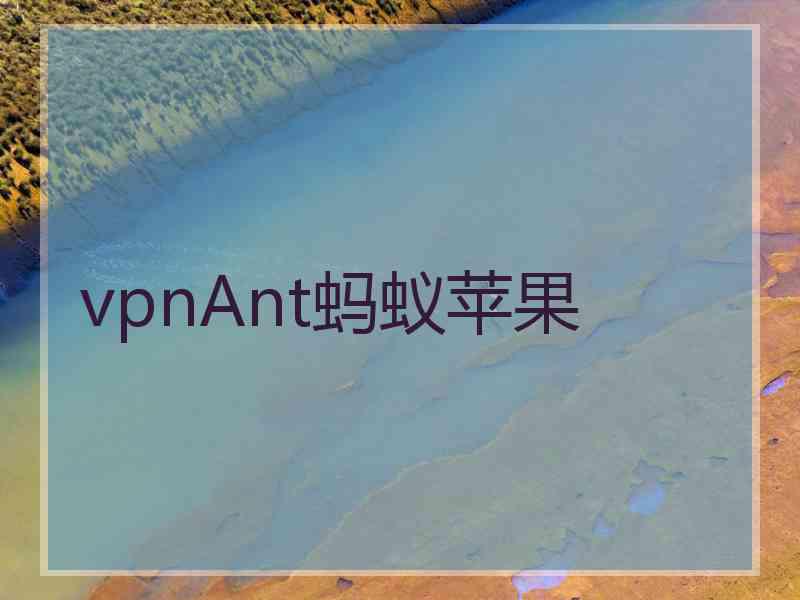 vpnAnt蚂蚁苹果