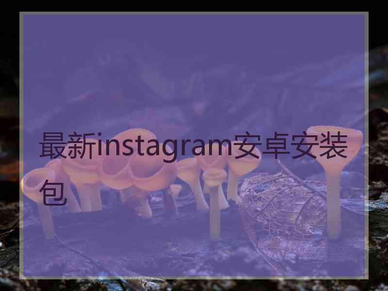 最新instagram安卓安装包
