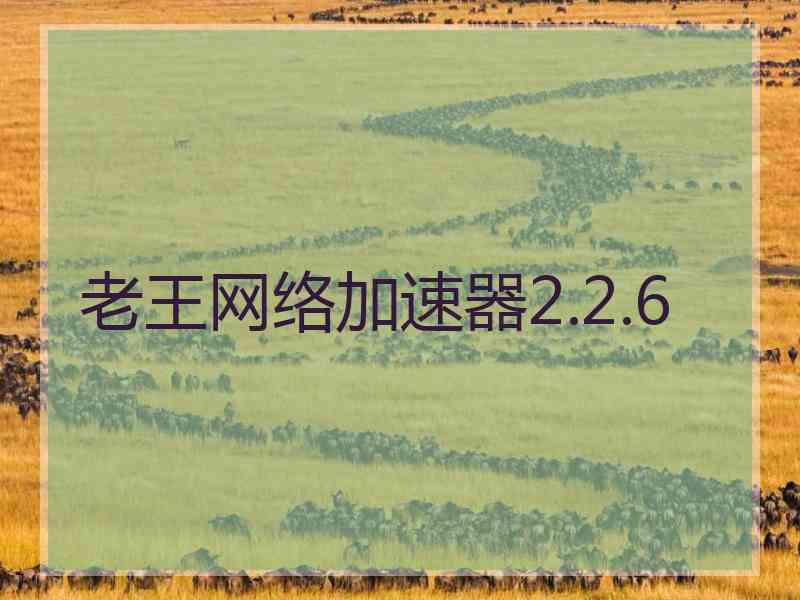 老王网络加速器2.2.6