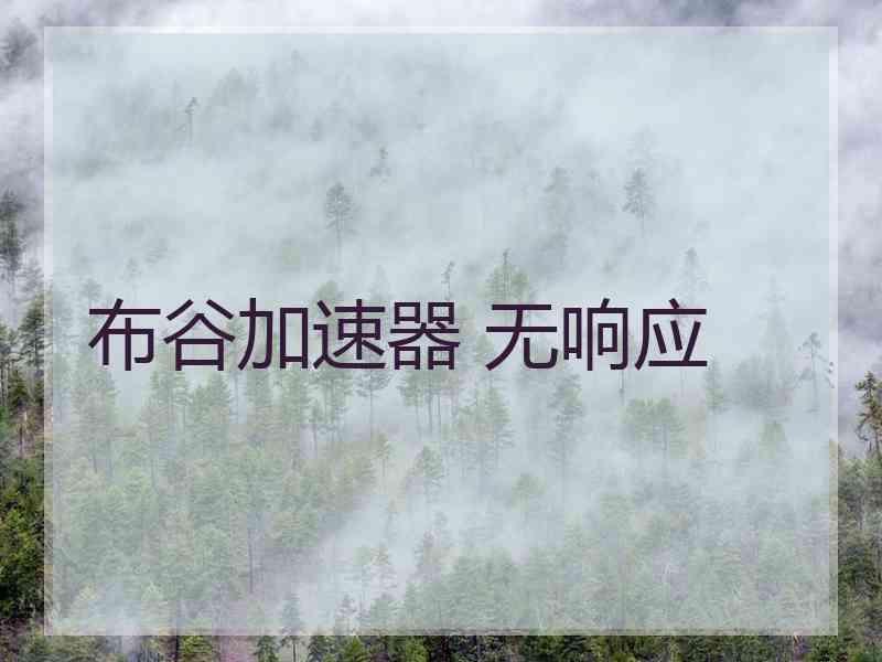 布谷加速器 无响应