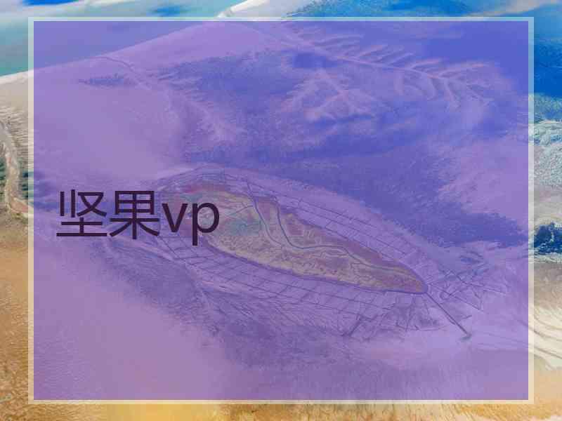 坚果vp