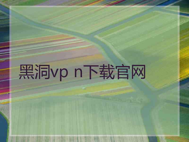 黑洞vp n下载官网