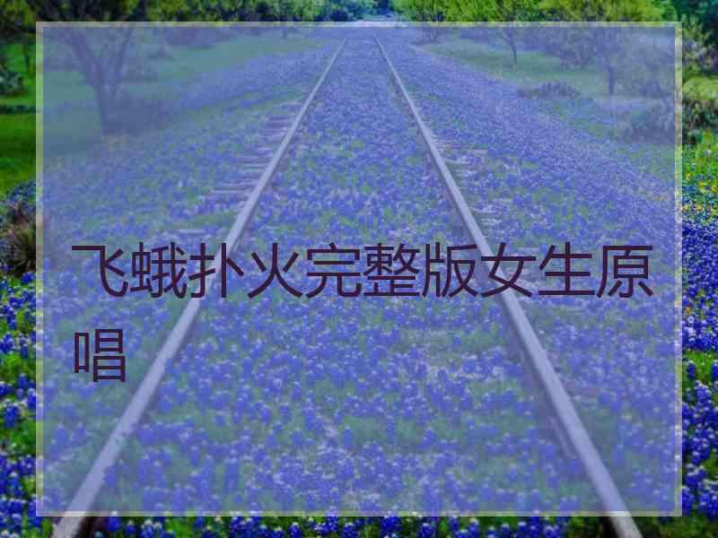 飞蛾扑火完整版女生原唱