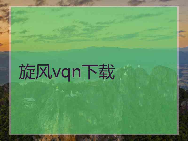 旋风vqn下载