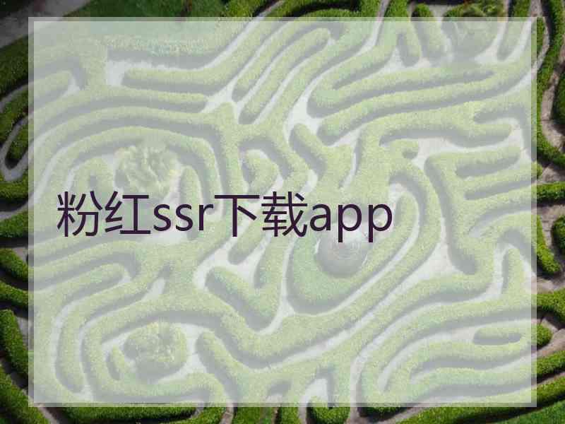 粉红ssr下载app