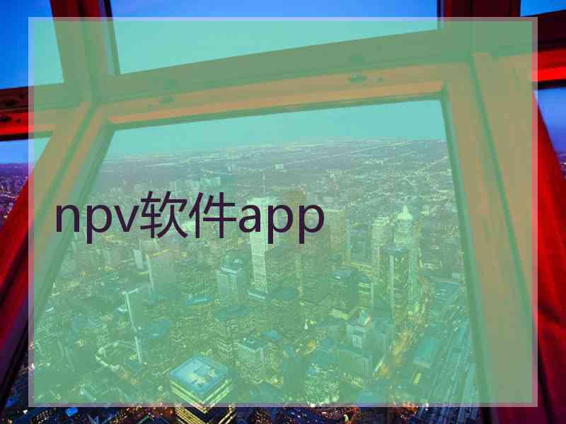 npv软件app