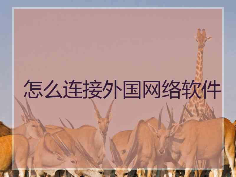 怎么连接外国网络软件