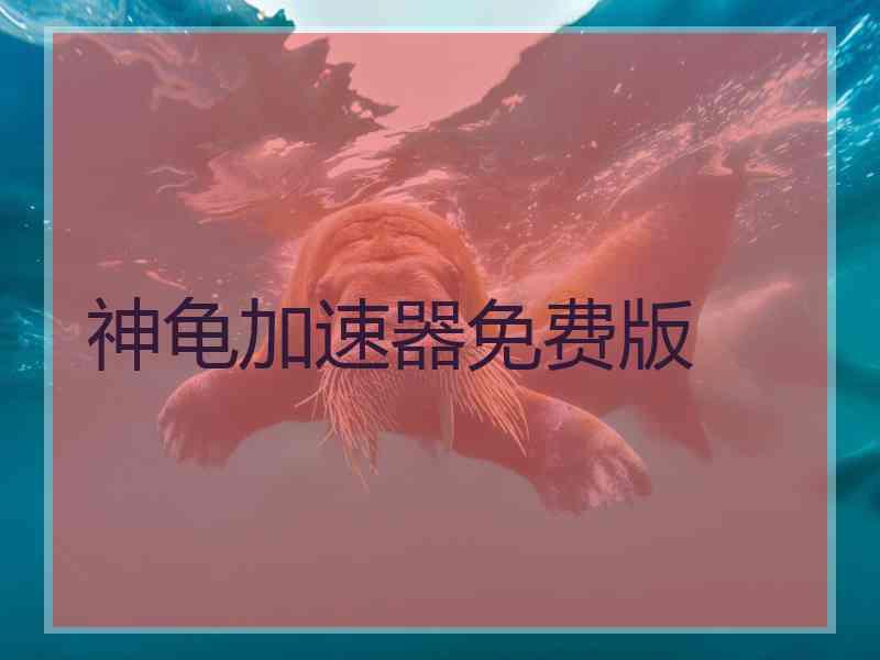 神龟加速器免费版
