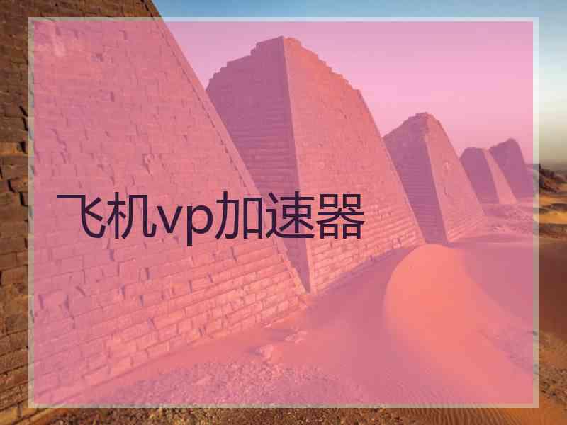 飞机vp加速器
