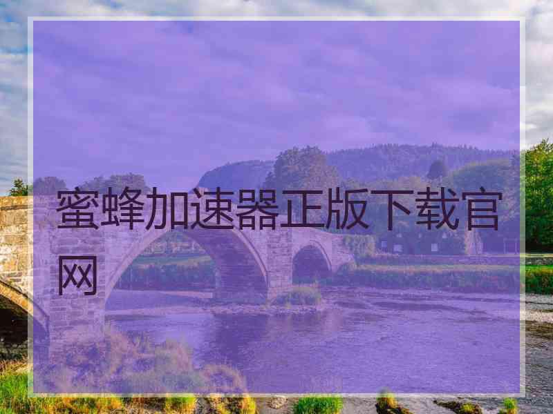 蜜蜂加速器正版下载官网