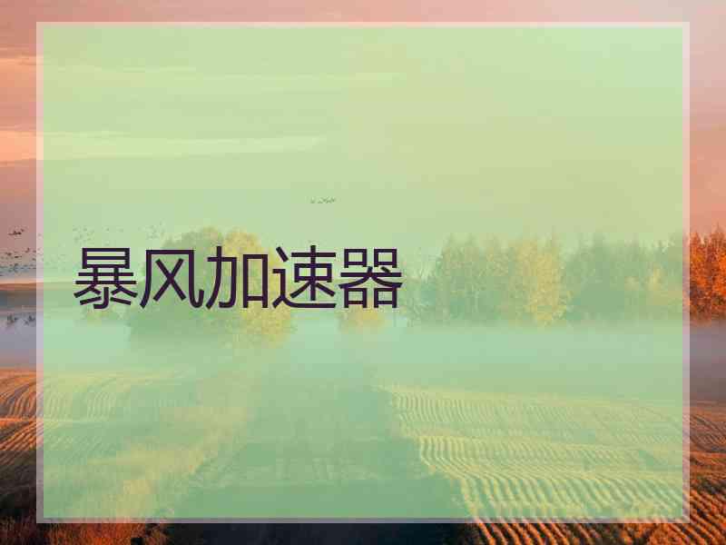 暴风加速器