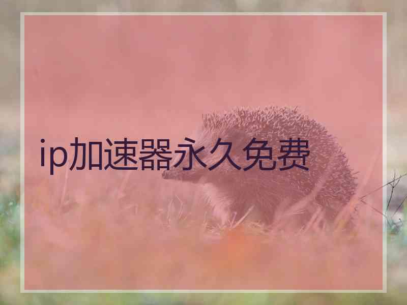 ip加速器永久免费
