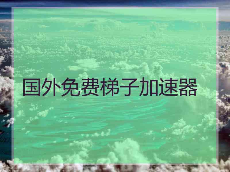 国外免费梯子加速器