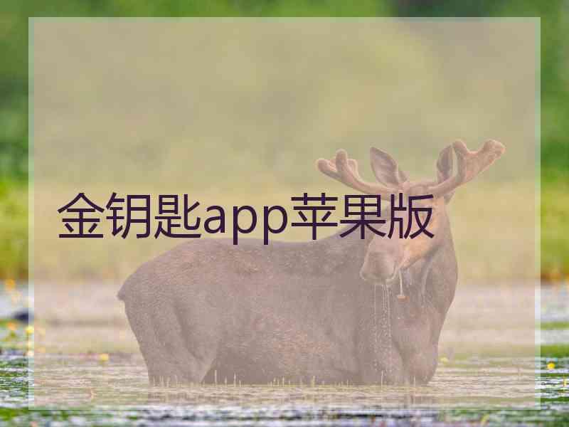 金钥匙app苹果版