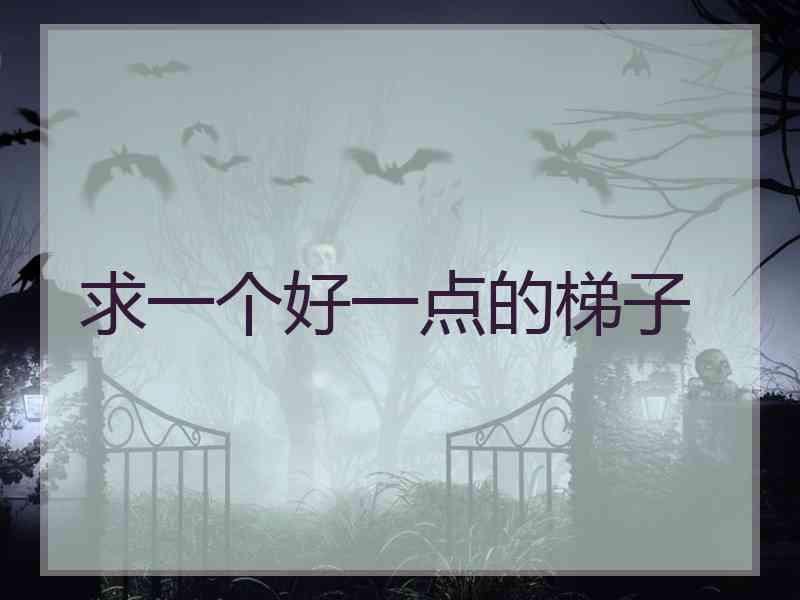 求一个好一点的梯子